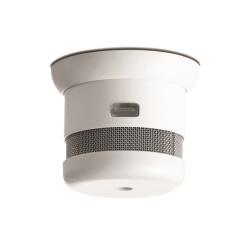 Rauchmelder Mini RM Cavius 2007 Invisible 10Y